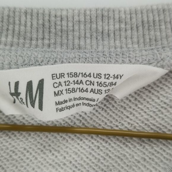 🎁5/$25 H&M Sweat Shirt Girls Youth 12-14 Skate Board Graphic Grey Long Sleeve - Picture 7 of 12